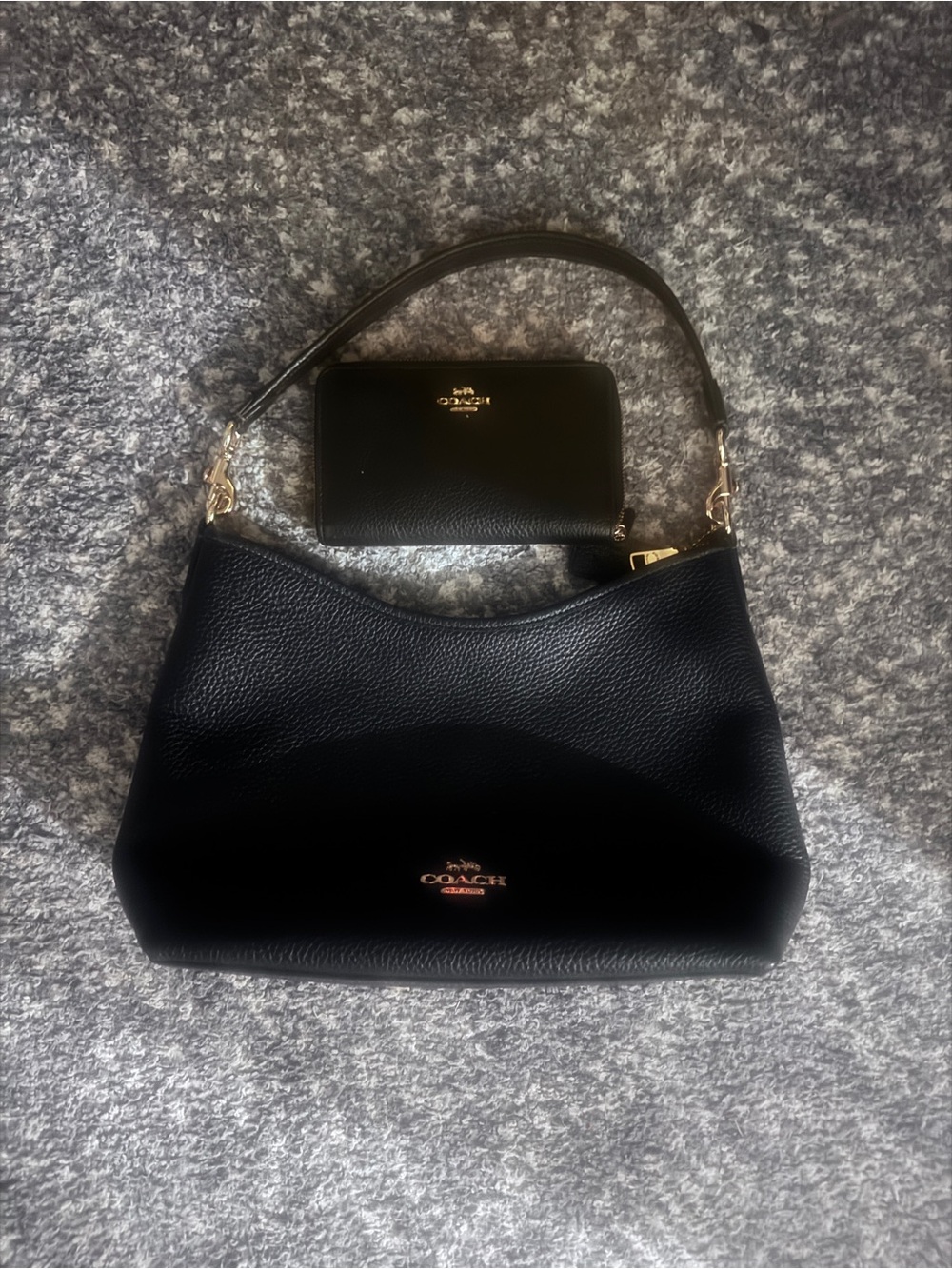 coach hobo bag with matching wallet